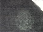 Falkenbild 28.03.2026