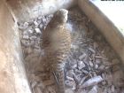 Falkenbild 23.05.2026
